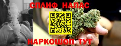 СК Туймазы