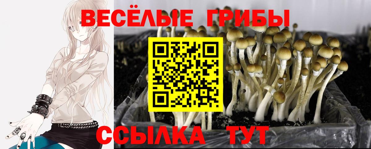 МЕТАМФЕТАМИН  Экстази  Бошки Шишки  Радужный  Купить наркотики  МЕФ   ГАШИШ  Вход с VPN 