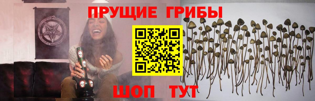 Псилоцибиновые грибы мухоморы  Вход с VPN  Радужный 
